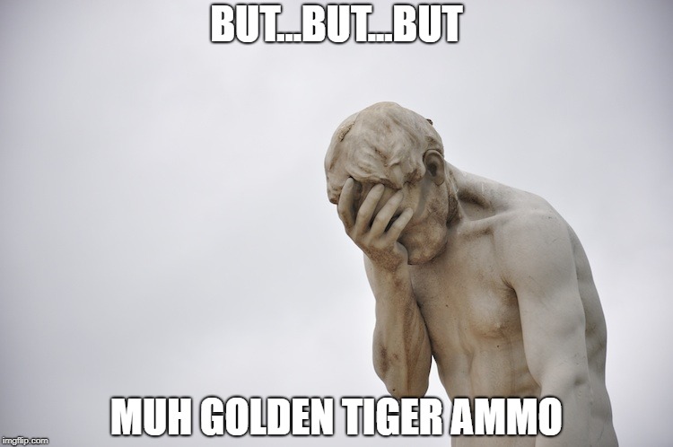 Disappointment | BUT...BUT...BUT; MUH GOLDEN TIGER AMMO | image tagged in disappointment | made w/ Imgflip meme maker
