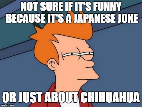 Futurama Fry Meme | NOT SURE IF IT'S FUNNY BECAUSE IT'S A JAPANESE JOKE OR JUST ABOUT CHIHUAHUA | image tagged in memes,futurama fry | made w/ Imgflip meme maker