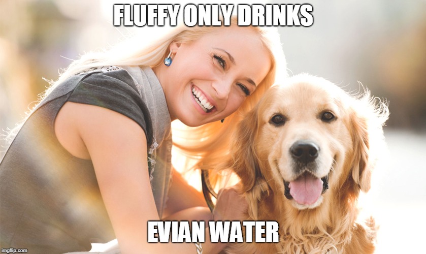 FLUFFY ONLY DRINKS; EVIAN WATER | image tagged in dogs,life,memes | made w/ Imgflip meme maker