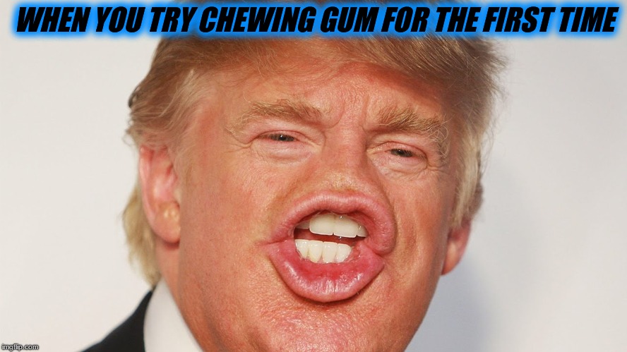donald trump | WHEN YOU TRY CHEWING GUM FOR THE FIRST TIME | image tagged in chewing | made w/ Imgflip meme maker
