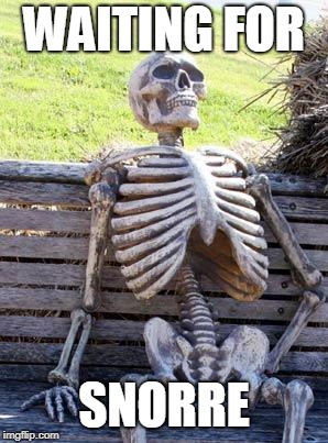 Waiting Skeleton Meme | WAITING FOR; SNORRE | image tagged in memes,waiting skeleton | made w/ Imgflip meme maker