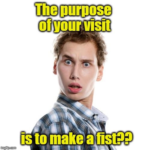 The purpose of your visit is to make a fist?? | image tagged in shocked | made w/ Imgflip meme maker