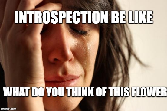 First World Problems | INTROSPECTION BE LIKE; WHAT DO YOU THINK OF THIS FLOWER | image tagged in memes,first world problems | made w/ Imgflip meme maker