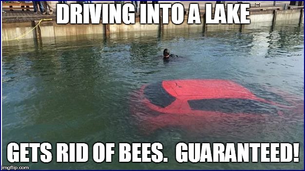 DRIVING INTO A LAKE GETS RID OF BEES.  GUARANTEED! | made w/ Imgflip meme maker