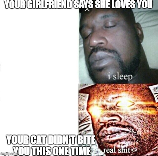 Sleeping Shaq Meme | YOUR GIRLFRIEND SAYS SHE LOVES YOU; YOUR CAT DIDN'T BITE YOU THIS ONE TIME | image tagged in memes,sleeping shaq | made w/ Imgflip meme maker