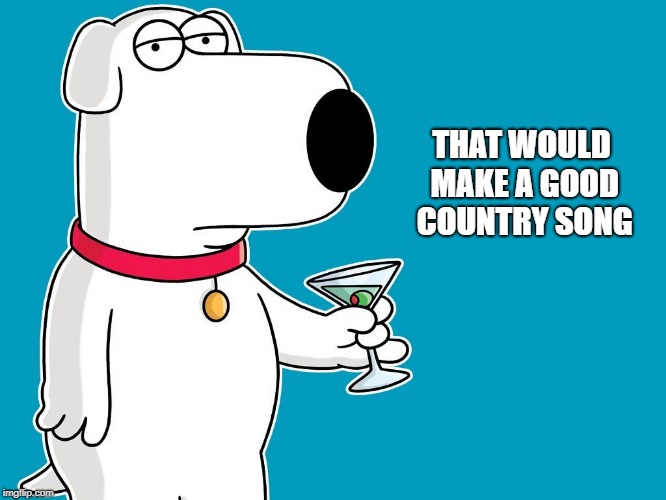 dog | THAT WOULD MAKE A GOOD COUNTRY SONG | image tagged in dog | made w/ Imgflip meme maker