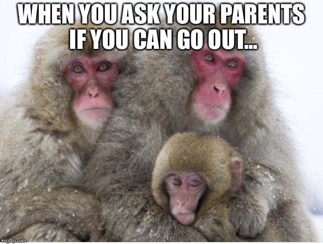 When you ask your parents if you can go out... | WHEN YOU ASK YOUR PARENTS IF YOU CAN GO OUT... | image tagged in parents,baby,monkey,monkeys,japanese monkeys,snow | made w/ Imgflip meme maker
