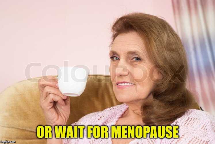 OR WAIT FOR MENOPAUSE | made w/ Imgflip meme maker