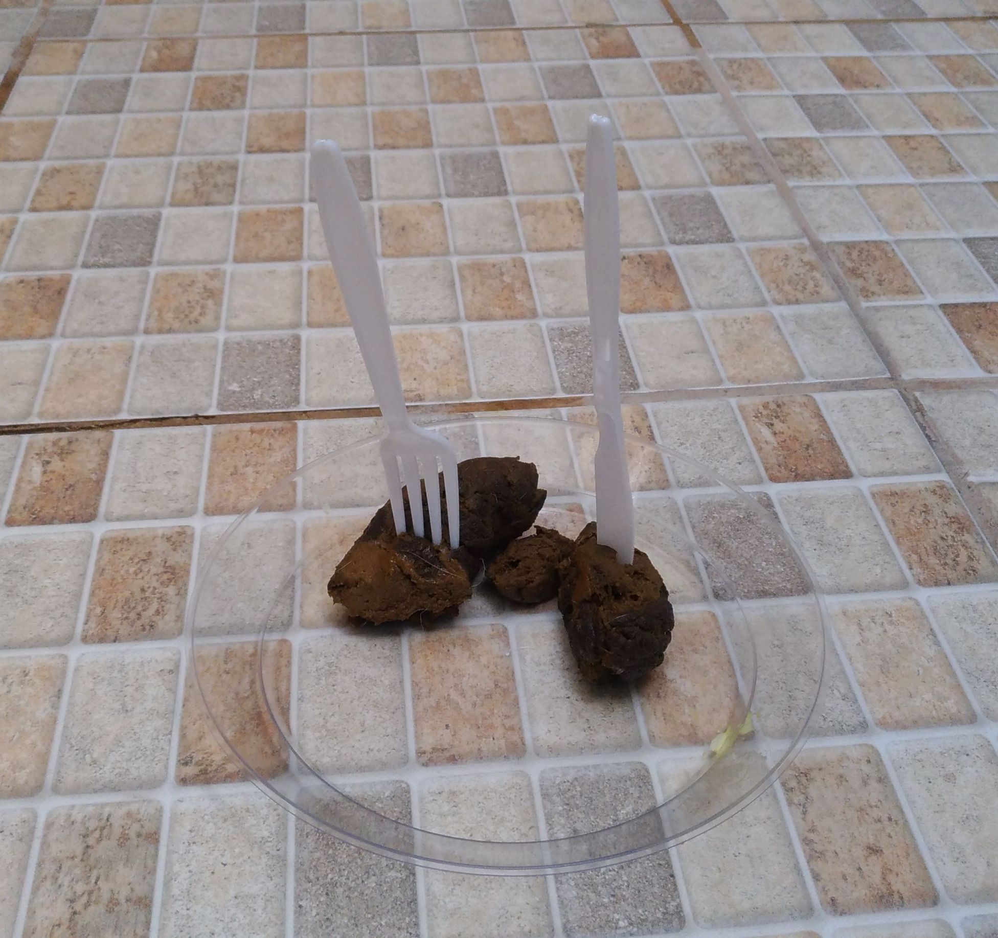 Comida bosta Blank Meme Template
