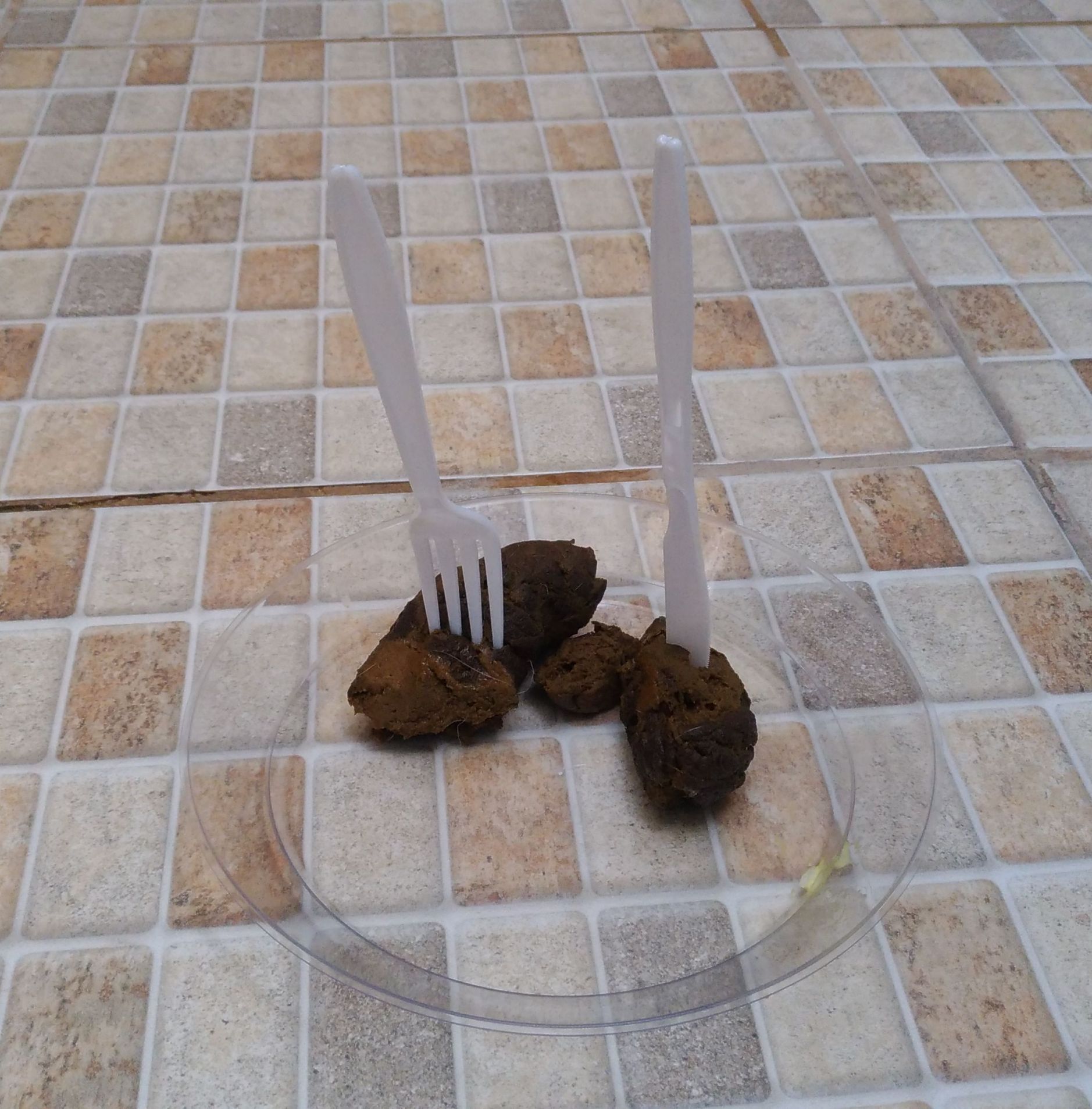 Comida bosta Blank Meme Template