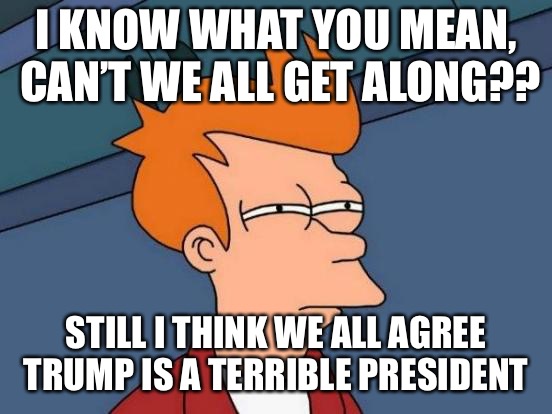 Futurama Fry Meme | I KNOW WHAT YOU MEAN, CAN’T WE ALL GET ALONG?? STILL I THINK WE ALL AGREE TRUMP IS A TERRIBLE PRESIDENT | image tagged in memes,futurama fry | made w/ Imgflip meme maker