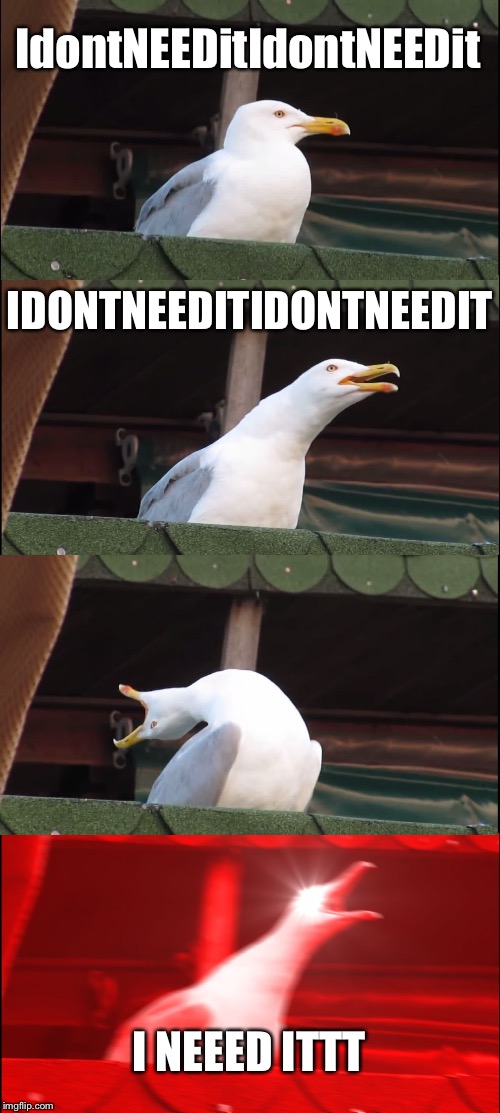 Inhaling Seagull Meme | IdontNEEDitIdontNEEDit IDONTNEEDITIDONTNEEDIT I NEEED ITTT | image tagged in memes,inhaling seagull | made w/ Imgflip meme maker