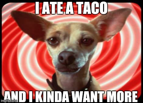 taco bell dog | I ATE A TACO; AND I KINDA WANT MORE | image tagged in taco bell dog | made w/ Imgflip meme maker