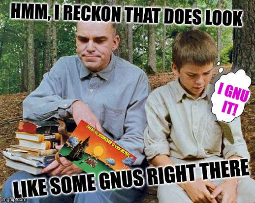 HMM, I RECKON THAT DOES LOOK LIKE SOME GNUS RIGHT THERE I GNU IT! | made w/ Imgflip meme maker