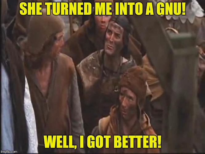 SHE TURNED ME INTO A GNU! WELL, I GOT BETTER! | made w/ Imgflip meme maker