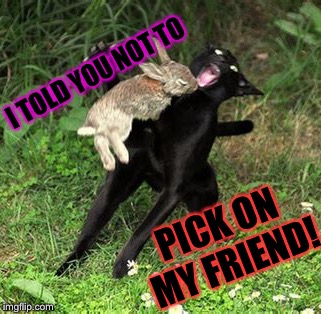 I TOLD YOU NOT TO PICK ON MY FRIEND! | made w/ Imgflip meme maker