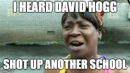 Ain't Nobody Got Time For That Meme | I HEARD DAVID HOGG; SHOT UP ANOTHER SCHOOL | image tagged in memes,aint nobody got time for that | made w/ Imgflip meme maker