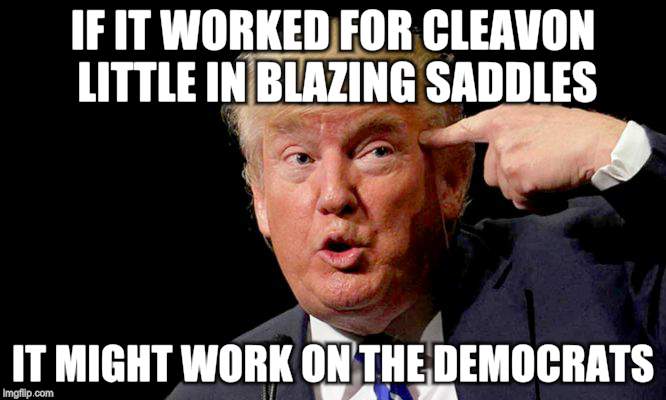 What I have in here | IF IT WORKED FOR CLEAVON LITTLE IN BLAZING SADDLES; IT MIGHT WORK ON THE DEMOCRATS | image tagged in donald trump,political,insanity | made w/ Imgflip meme maker