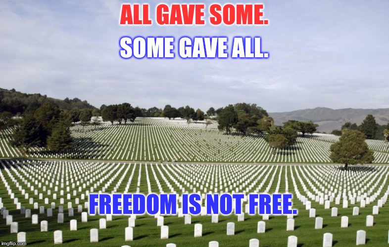 Arlington National Cemetery | ALL GAVE SOME. SOME GAVE ALL. FREEDOM IS NOT FREE. | image tagged in arlington national cemetery | made w/ Imgflip meme maker
