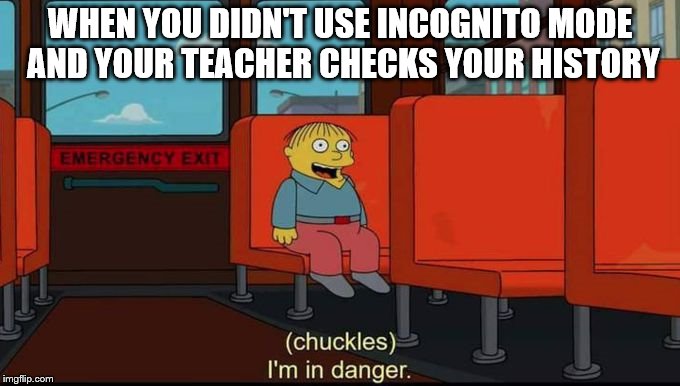 im in danger | WHEN YOU DIDN'T USE INCOGNITO MODE AND YOUR TEACHER CHECKS YOUR HISTORY | image tagged in im in danger,memes | made w/ Imgflip meme maker