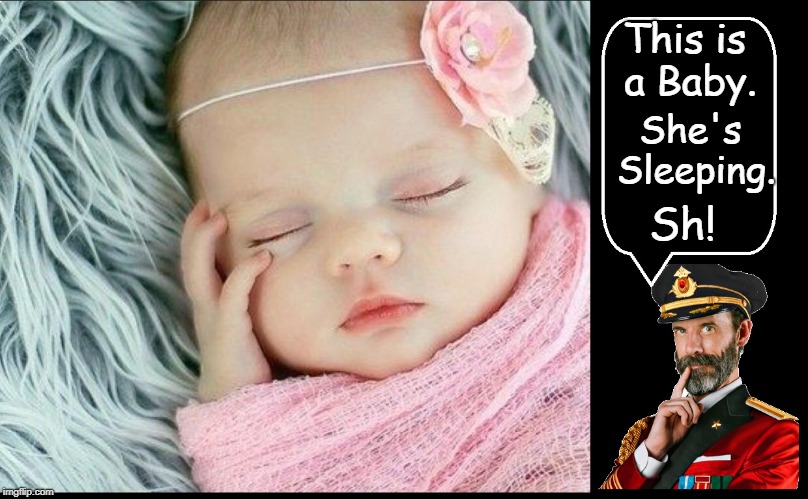 Insight from Captain Obvious | This is a Baby. She's Sleeping. Sh! | image tagged in vince vance,baby sleeping,babies,thanks captain obvious,captain obvious,funny memes | made w/ Imgflip meme maker