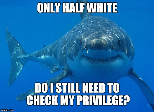 my birth was a waste of time mom | ONLY HALF WHITE; DO I STILL NEED TO CHECK MY PRIVILEGE? | image tagged in great white shark | made w/ Imgflip meme maker