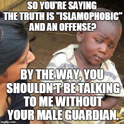 Third World Skeptical Kid Meme | SO YOU'RE SAYING THE TRUTH IS "ISLAMOPHOBIC" AND AN OFFENSE? BY THE WAY, YOU SHOULDN'T BE TALKING TO ME WITHOUT YOUR MALE GUARDIAN. | image tagged in memes,third world skeptical kid | made w/ Imgflip meme maker