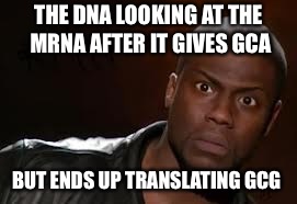 Kevin Hart | THE DNA LOOKING AT THE MRNA AFTER IT GIVES GCA; BUT ENDS UP TRANSLATING GCG | image tagged in memes,kevin hart the hell | made w/ Imgflip meme maker