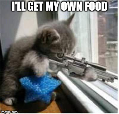 cats with guns | I'LL GET MY OWN FOOD | image tagged in cats with guns | made w/ Imgflip meme maker