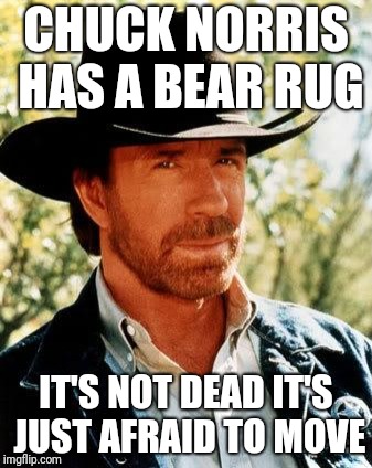 Chuck Norris Meme | CHUCK NORRIS HAS A BEAR RUG; IT'S NOT DEAD IT'S JUST AFRAID TO MOVE | image tagged in memes,chuck norris | made w/ Imgflip meme maker