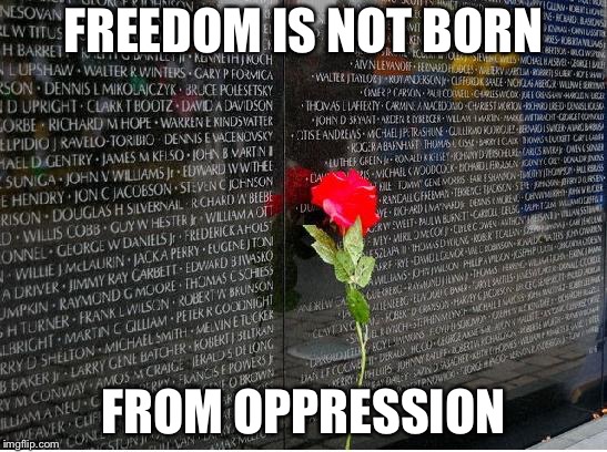 Memorial Day is not a Vacation | FREEDOM IS NOT BORN; FROM OPPRESSION | image tagged in memorial day is not a vacation | made w/ Imgflip meme maker