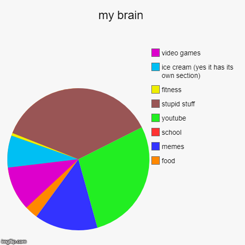my brain | food, memes, school, youtube, stupid stuff, fitness , ice cream (yes it has its own section), video games | image tagged in funny,pie charts | made w/ Imgflip chart maker