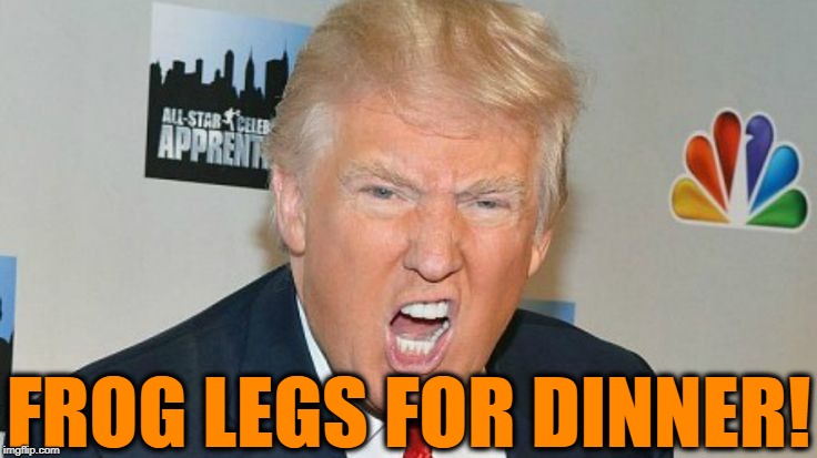 FROG LEGS FOR DINNER! | image tagged in trump mad | made w/ Imgflip meme maker