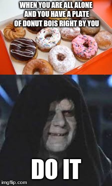 DO IT | WHEN YOU ARE ALL ALONE AND YOU HAVE A PLATE OF DONUT BOIS RIGHT BY YOU; DO IT | image tagged in memes,funny,new memes,star wars,funny memes | made w/ Imgflip meme maker