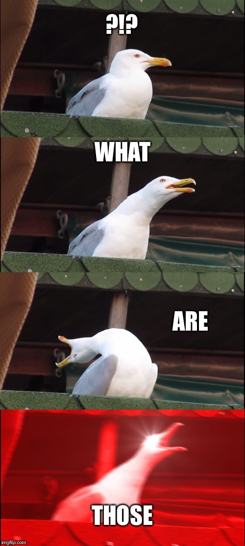 Inhaling Seagull Meme | ?!? WHAT; ARE; THOSE | image tagged in memes,inhaling seagull | made w/ Imgflip meme maker