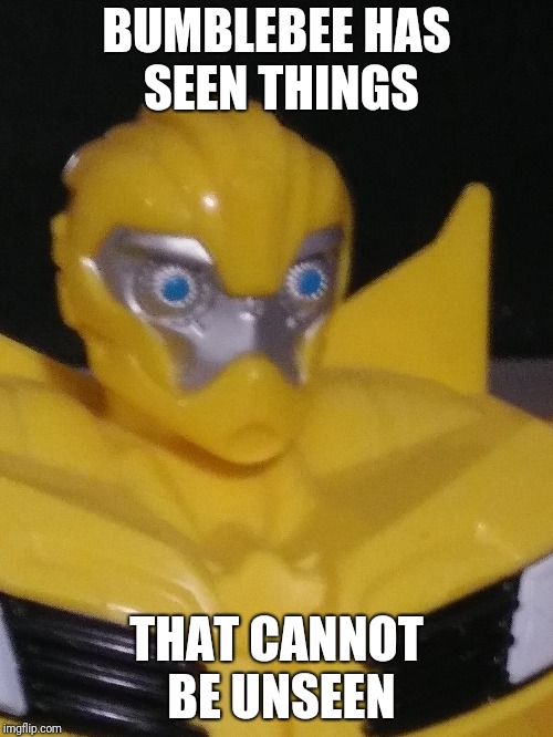BUMBLEBEE HAS SEEN THINGS; THAT CANNOT BE UNSEEN | image tagged in memes | made w/ Imgflip meme maker