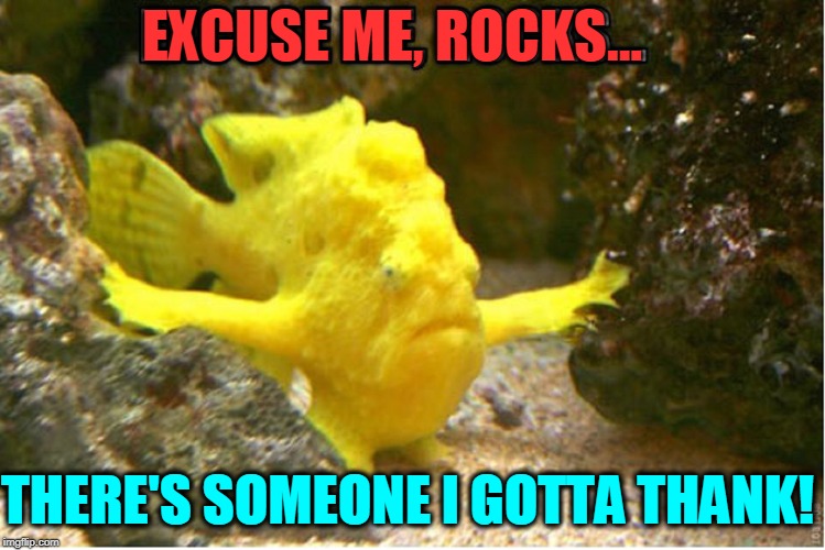 Something Fishy About this Thank You! | EXCUSE ME, ROCKS... THERE'S SOMEONE I GOTTA THANK! | image tagged in vince vance,yellow fish,fish with hands,aquarium,polite fish,get outta my way | made w/ Imgflip meme maker