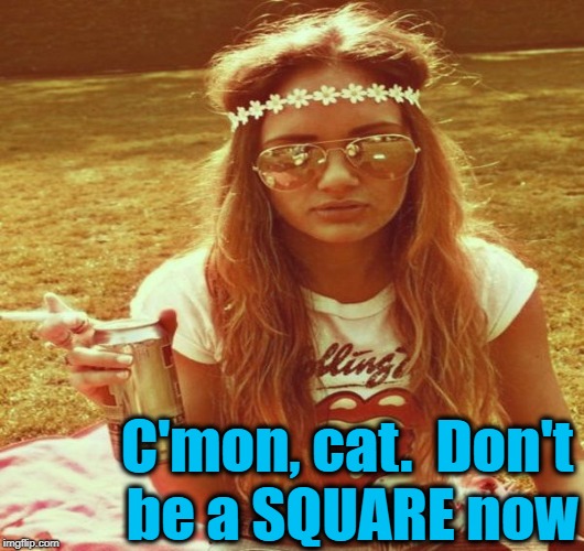 C'mon, cat.  Don't be a SQUARE now | made w/ Imgflip meme maker