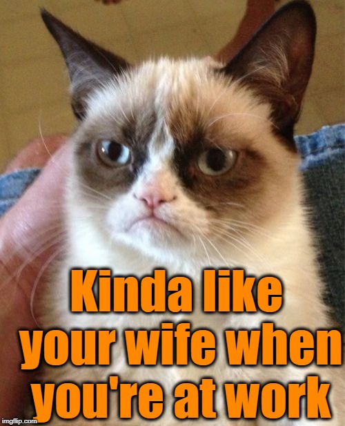 Grumpy Cat Meme | Kinda like your wife when you're at work | image tagged in memes,grumpy cat | made w/ Imgflip meme maker