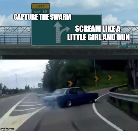 Left Exit 12 Off Ramp Meme | CAPTURE THE SWARM SCREAM LIKE A LITTLE GIRL AND RUN | image tagged in memes,left exit 12 off ramp | made w/ Imgflip meme maker