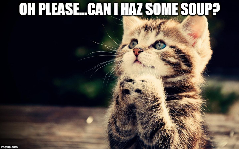 Dear God | OH PLEASE...CAN I HAZ SOME SOUP? | image tagged in dear god | made w/ Imgflip meme maker
