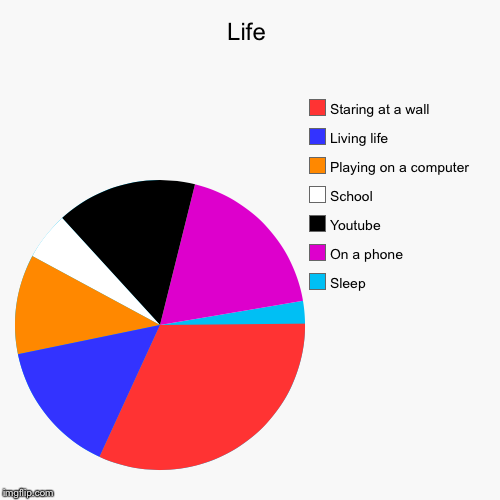 Life | Sleep, On a phone, Youtube, School, Playing on a computer, Living life, Staring at a wall | image tagged in funny,pie charts | made w/ Imgflip chart maker