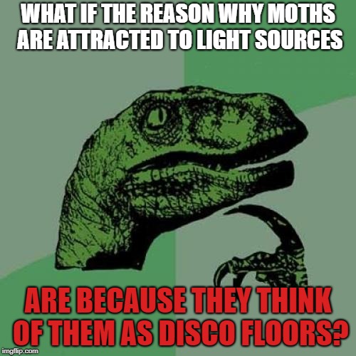 Philosoraptor | WHAT IF THE REASON WHY MOTHS ARE ATTRACTED TO LIGHT SOURCES; ARE BECAUSE THEY THINK OF THEM AS DISCO FLOORS? | image tagged in memes,philosoraptor | made w/ Imgflip meme maker