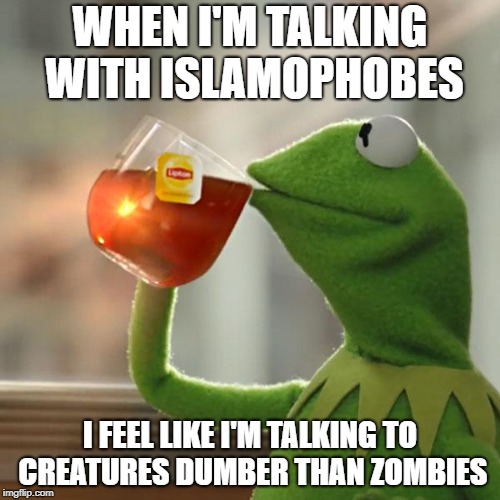 But That's None Of My Business Meme | WHEN I'M TALKING WITH ISLAMOPHOBES; I FEEL LIKE I'M TALKING TO CREATURES DUMBER THAN ZOMBIES | image tagged in memes,but thats none of my business,kermit the frog,zombie,zombies | made w/ Imgflip meme maker
