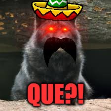 When it's taco Tuesday but your friend says "Pay for your own" | QUE?! | image tagged in memes,mexico,mexican,taco tuesday,taco bell | made w/ Imgflip meme maker