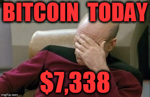 Captain Picard Facepalm Meme | BITCOIN  TODAY; $7,338 | image tagged in memes,captain picard facepalm | made w/ Imgflip meme maker