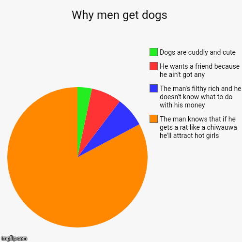 Why men get dogs | The man knows that if he gets a rat like a chiwauwa he'll attract hot girls, The man's filthy rich and he doesn't know wh | image tagged in funny,pie charts | made w/ Imgflip chart maker