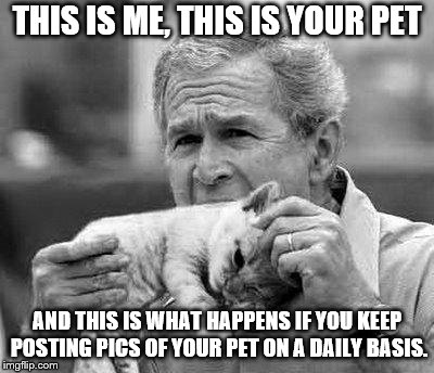 bush eating kitten | THIS IS ME, THIS IS YOUR PET; AND THIS IS WHAT HAPPENS IF YOU KEEP POSTING PICS OF YOUR PET ON A DAILY BASIS. | image tagged in bush eating kitten | made w/ Imgflip meme maker