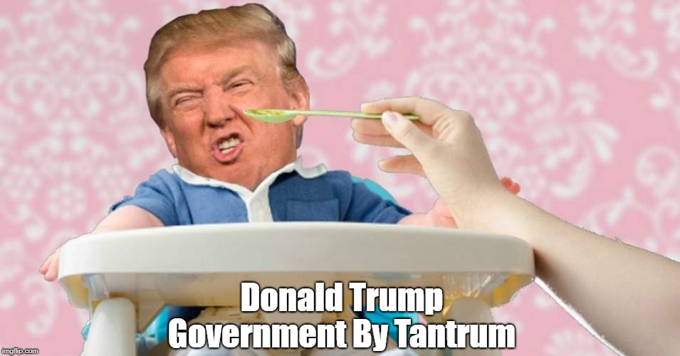"Donald Trump: Government By Tantrum" | Donald Trump; Government By Tantrum | image tagged in deplorable donald,despicable donald,detestable donald,dishonorable donald,devious donald,dishonest donald | made w/ Imgflip meme maker