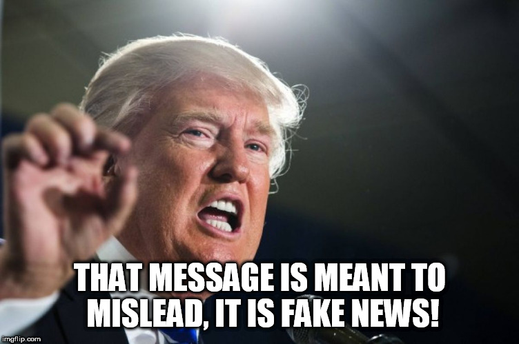 donald trump | THAT MESSAGE IS MEANT TO MISLEAD, IT IS FAKE NEWS! | image tagged in donald trump | made w/ Imgflip meme maker